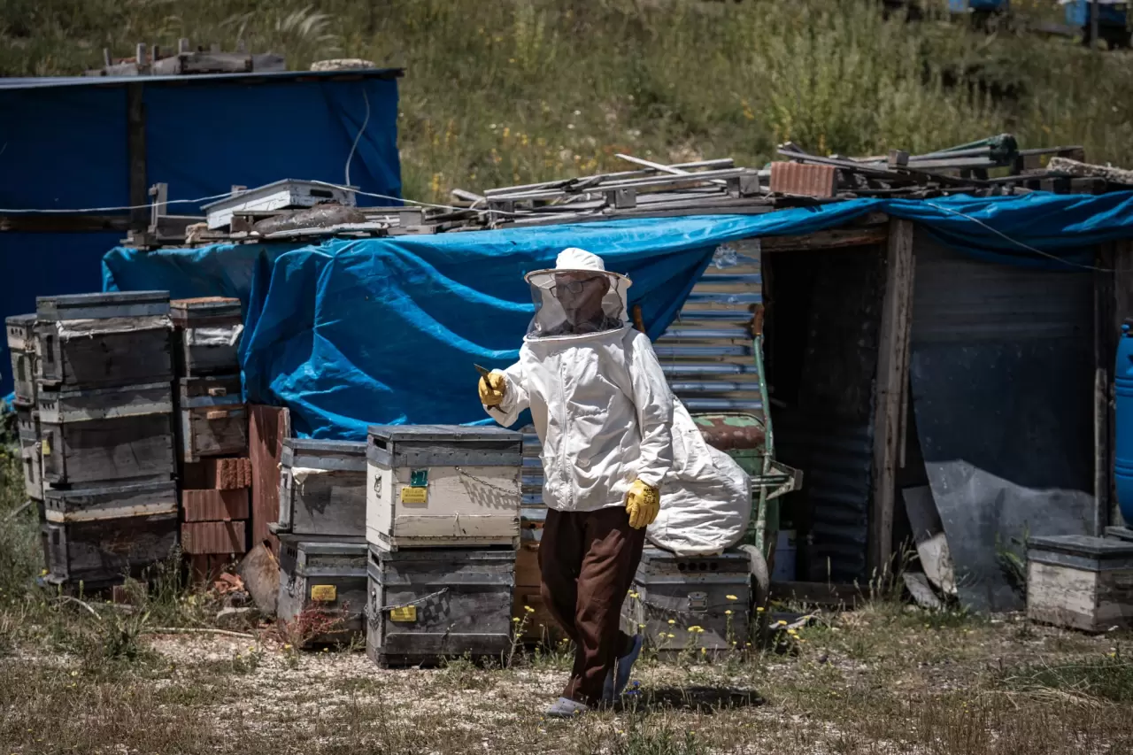 Kanseri yendi, hayatını arıcılığa adadı 4