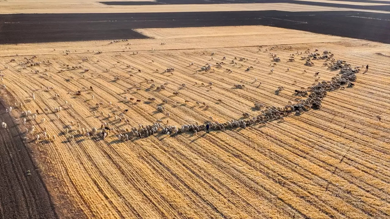 Tuz Gölü pembe renge büründü 5