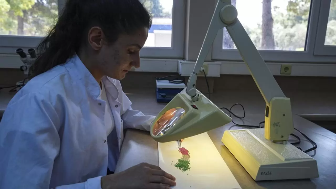 Türkiye'nin ilk tohum enstitüsü faaliyete başladı 6