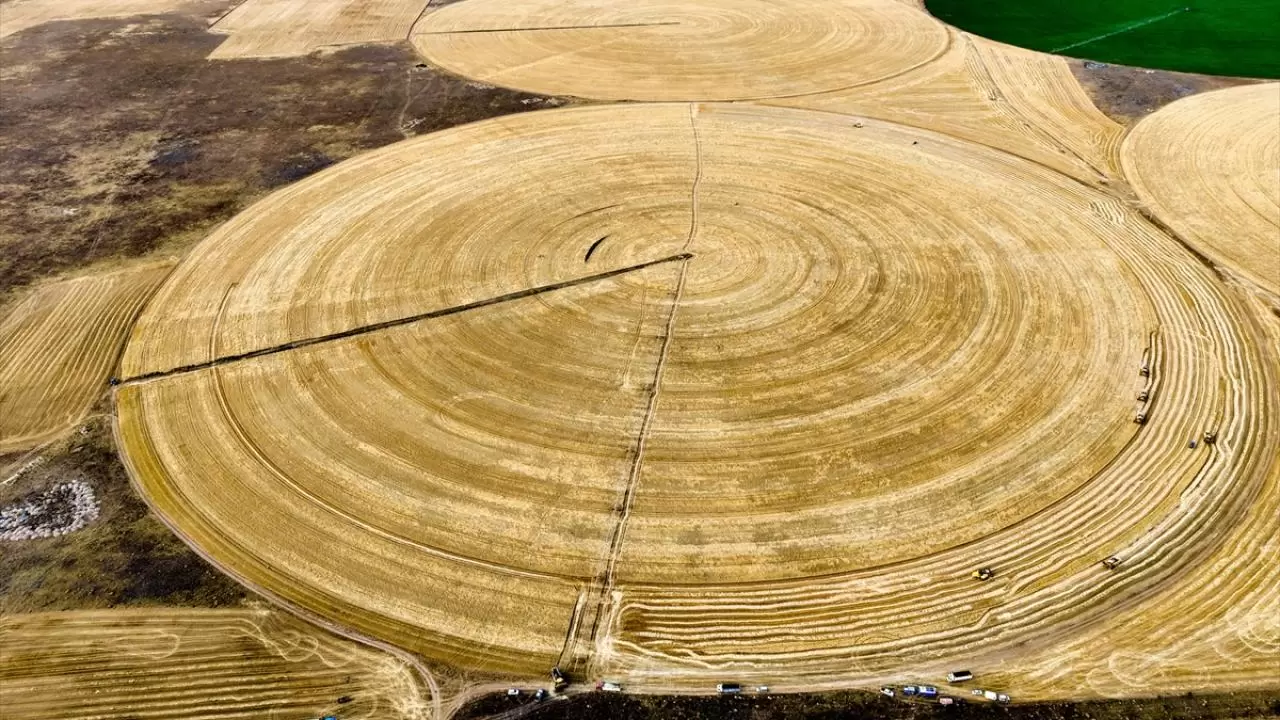 Konya'nın devasa dairesel tarlalarında hasat tamamlandı 1