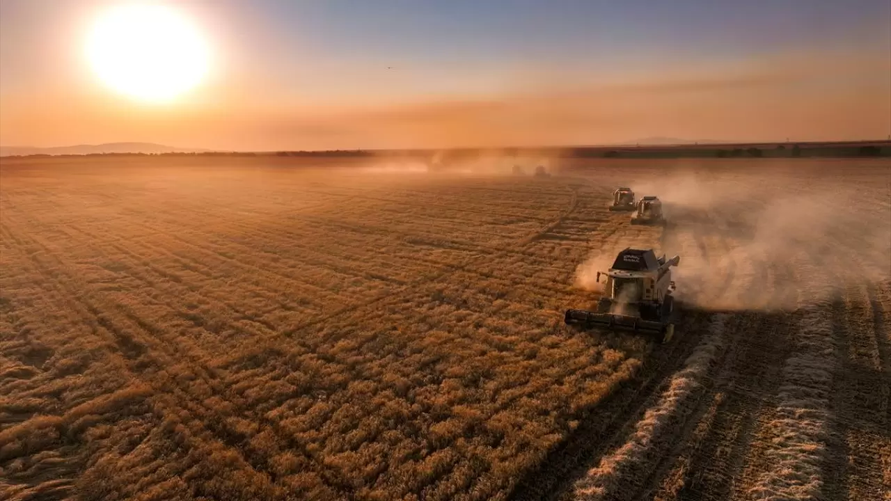Konya'nın devasa dairesel tarlalarında hasat tamamlandı 11