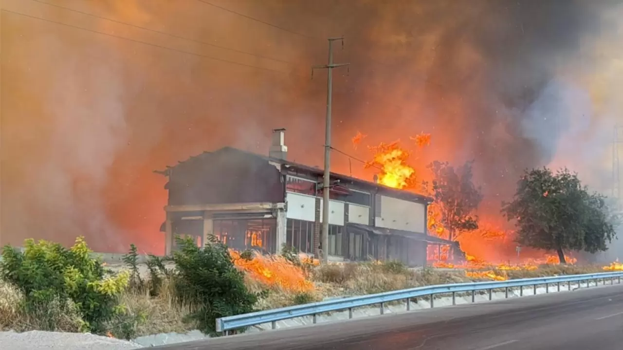 Orman yangınlarında son durum: Çanakkale'deki yangın büyük oranda kontrol altında 2