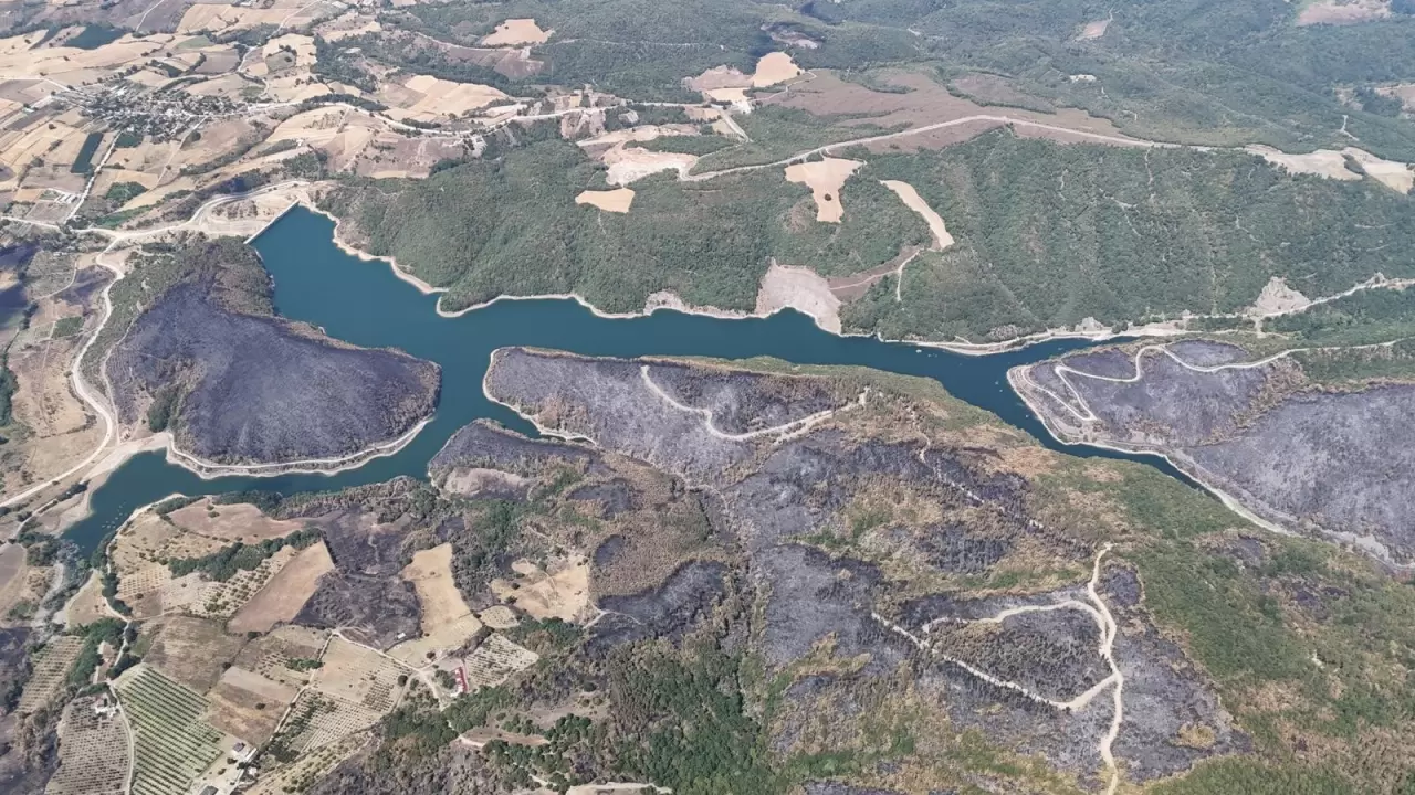 Kocaeli'de yangın sonrası yürek burkan manzara 2