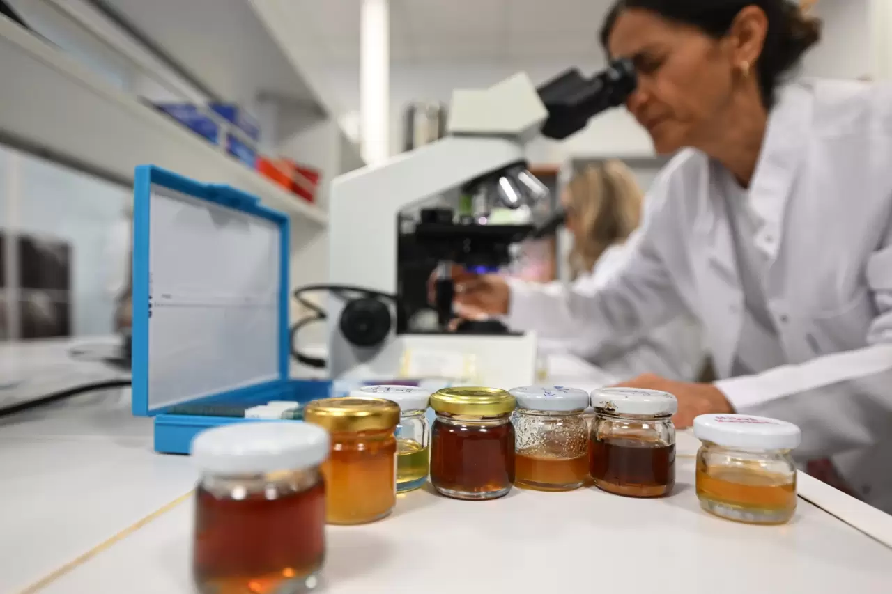 İklim değişikliği kestane balını da etkiledi 1