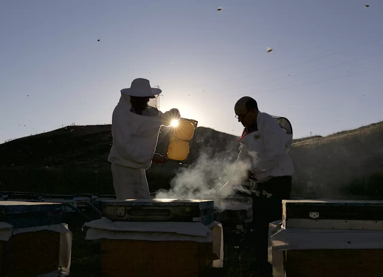 Tescilli Bingöl balı, dünyanın her yanından talep görüyor 1