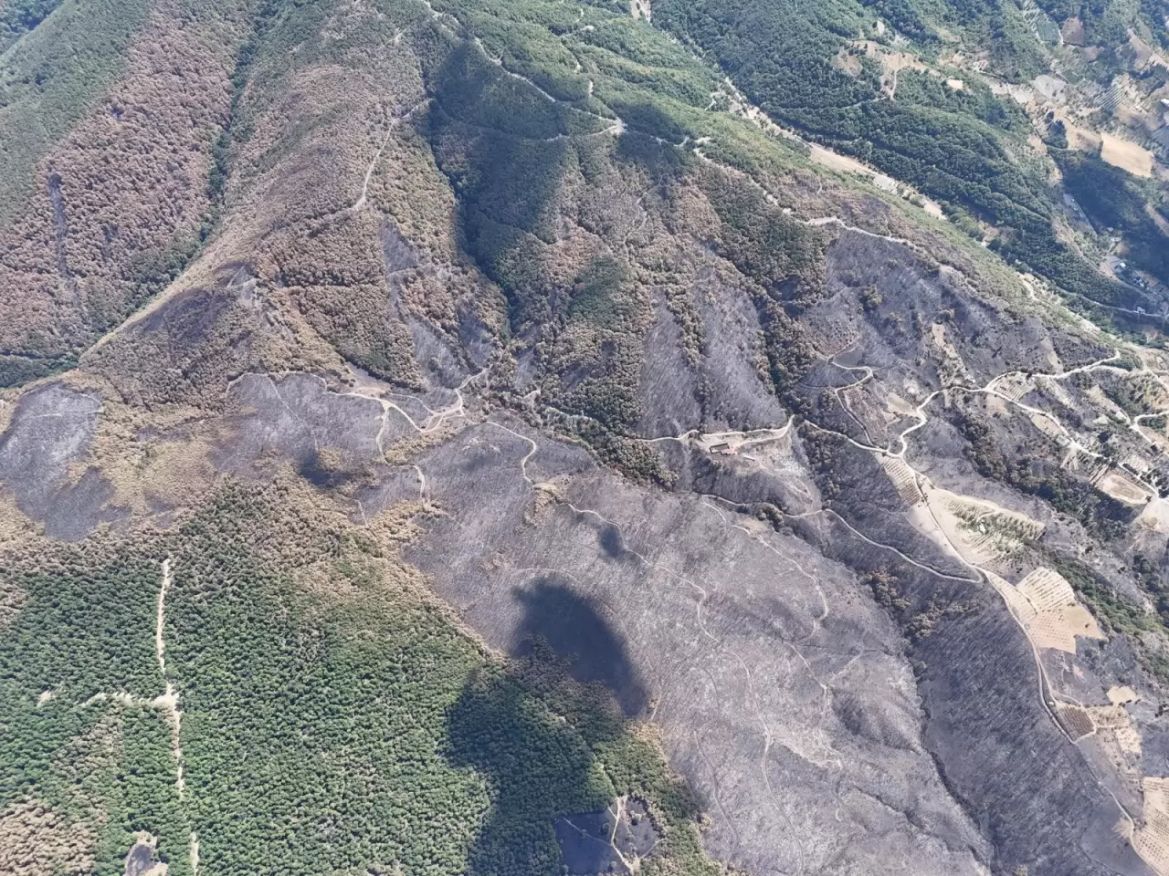 Kocaeli'de yangın sonrası yürek burkan manzara 3