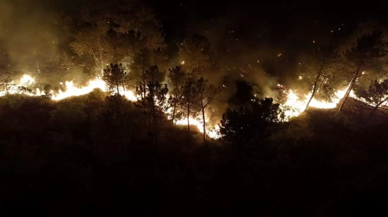 Orman yangınlarında son durum: Çanakkale'deki yangın büyük oranda kontrol altında 10