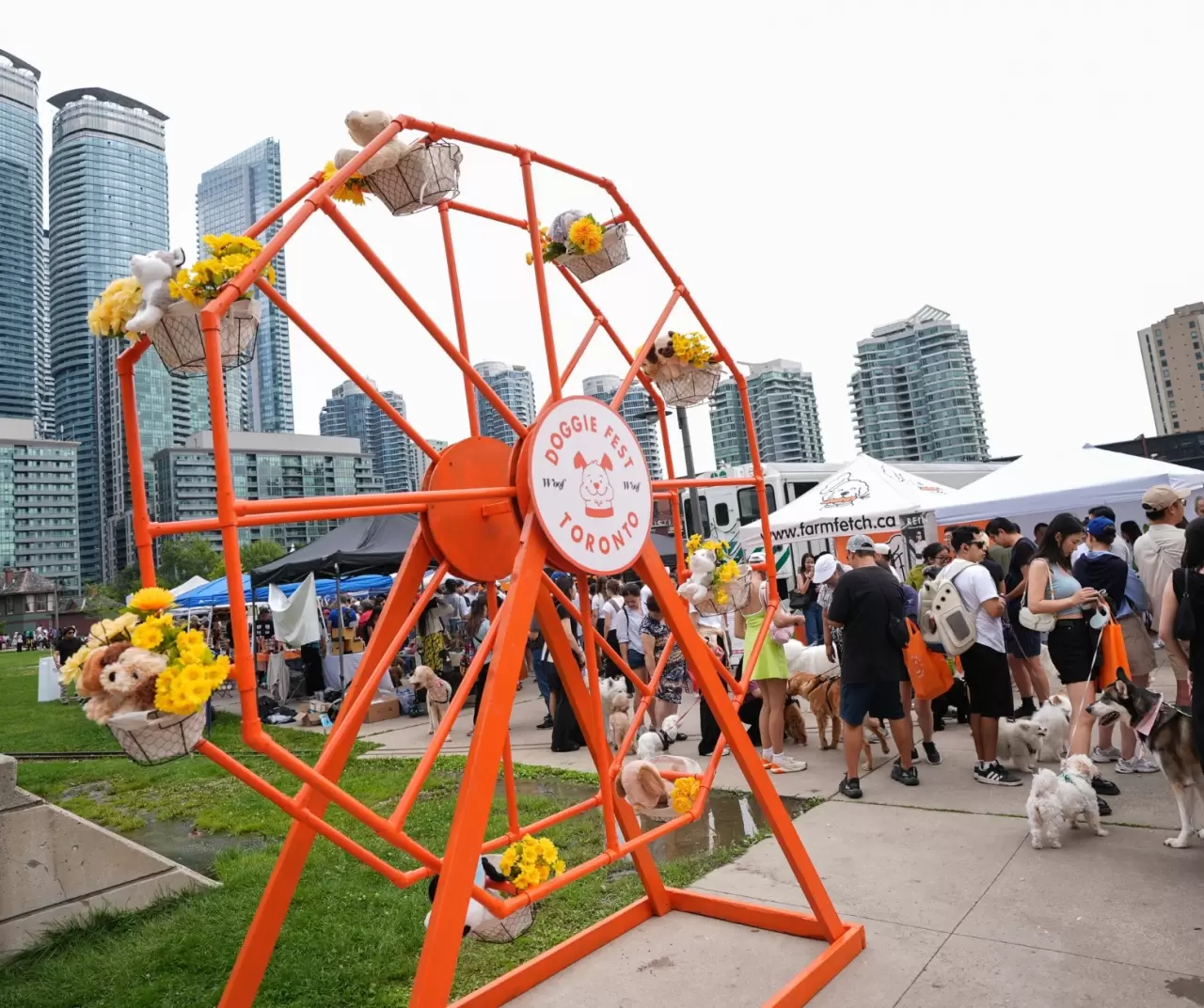 Toronto'da köpekler için "Doggie Fest Yaz Karnavalı" düzenlendi 2