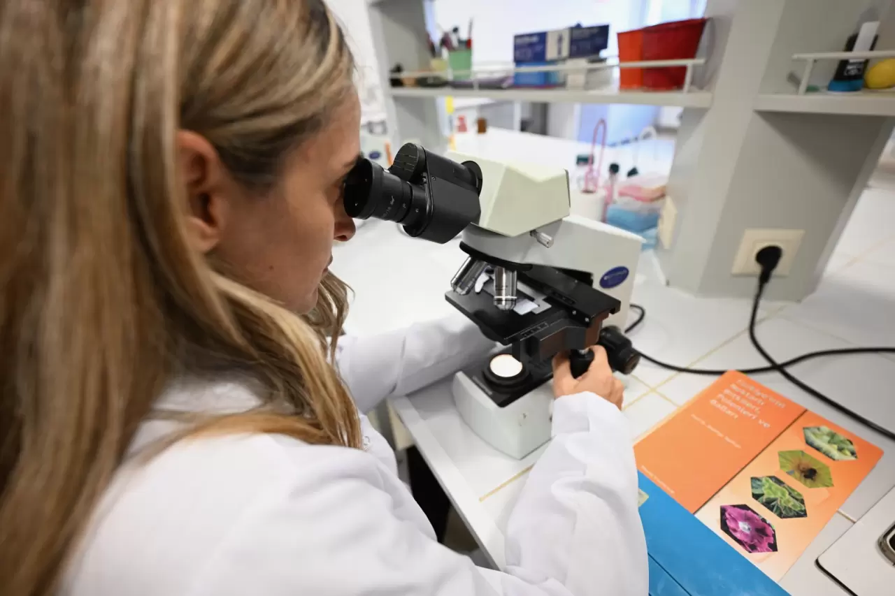 İklim değişikliği kestane balını da etkiledi 2