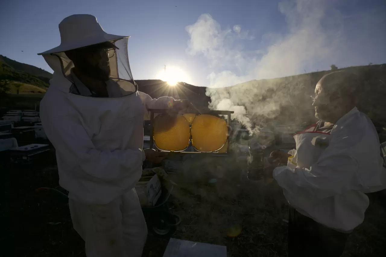Tescilli Bingöl balı, dünyanın her yanından talep görüyor 2