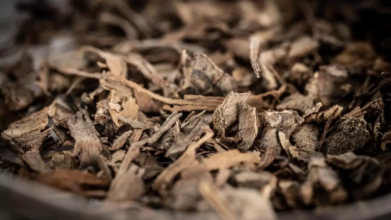 Türk gençleri bilim için Kuzey Kutbu’nda! 13