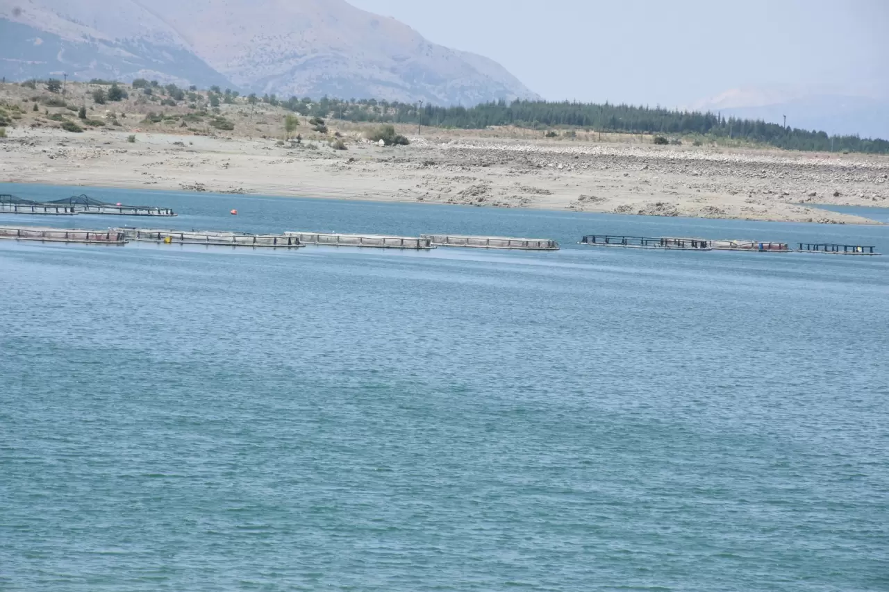 Alabalık tesisi sayısı gün geçtikçe artıyor 3