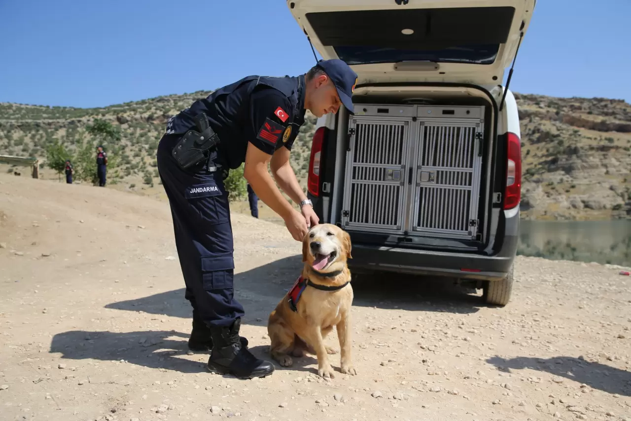 Jandarmanın en önemli yardımcısı "Pusat" 2