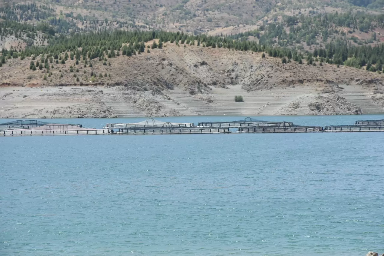 Alabalık tesisi sayısı gün geçtikçe artıyor 5