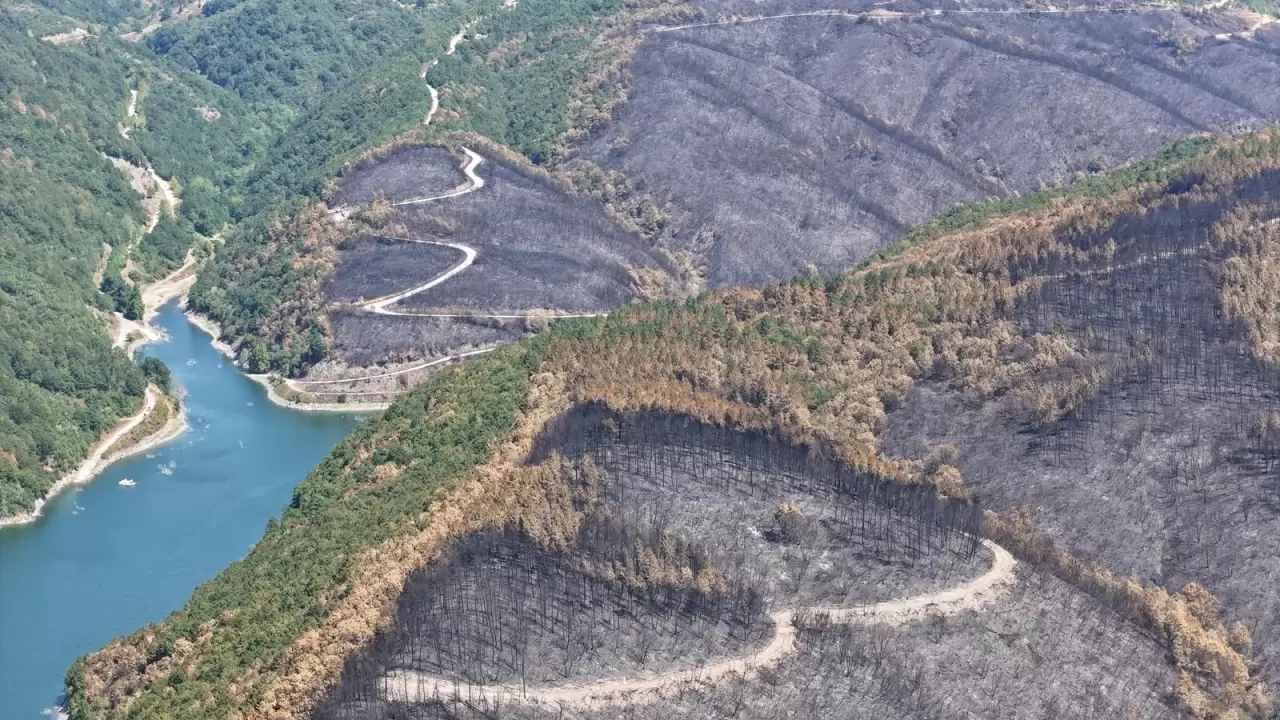Kocaeli'de yangın sonrası yürek burkan manzara 5