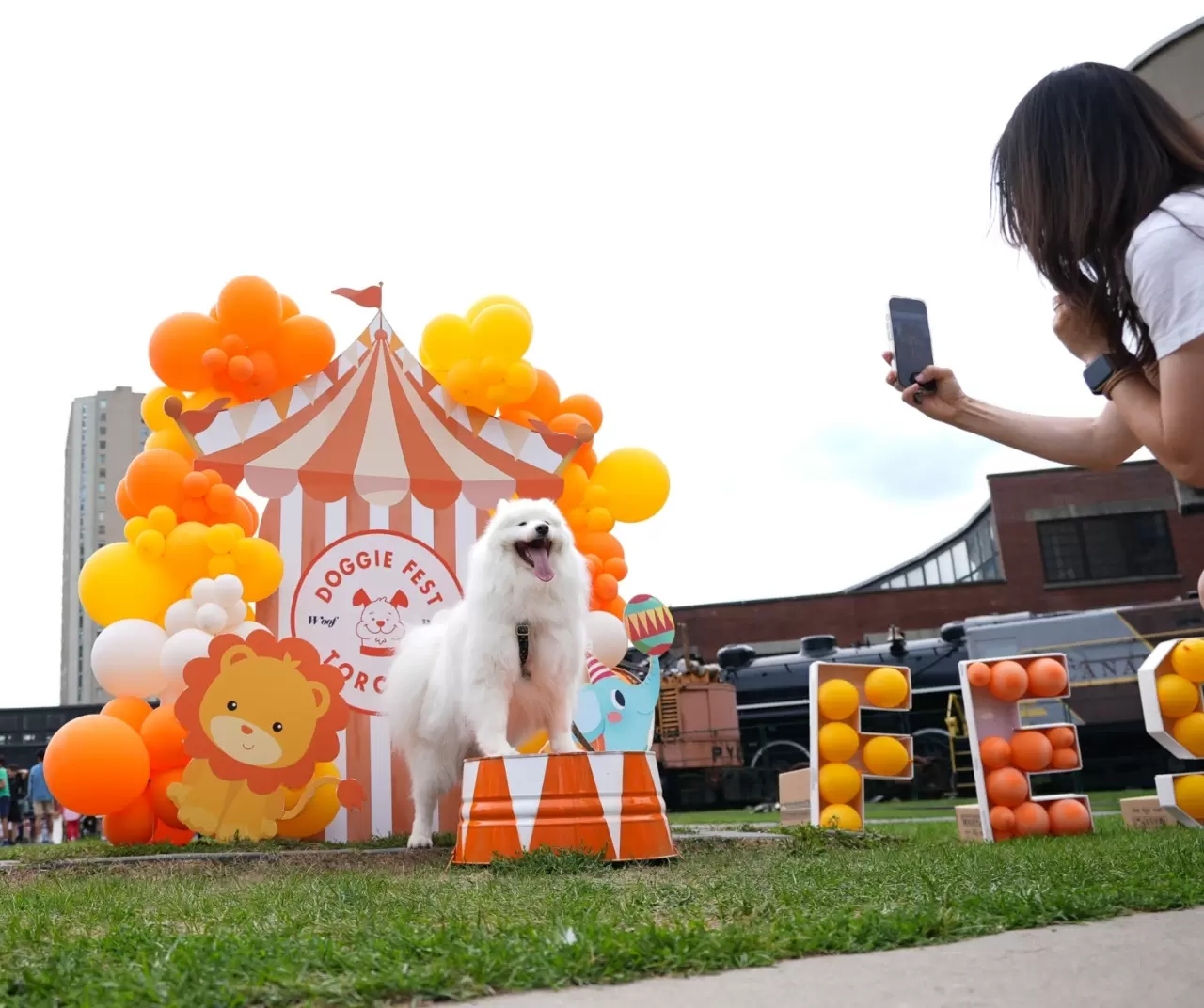 Toronto'da köpekler için "Doggie Fest Yaz Karnavalı" düzenlendi 20