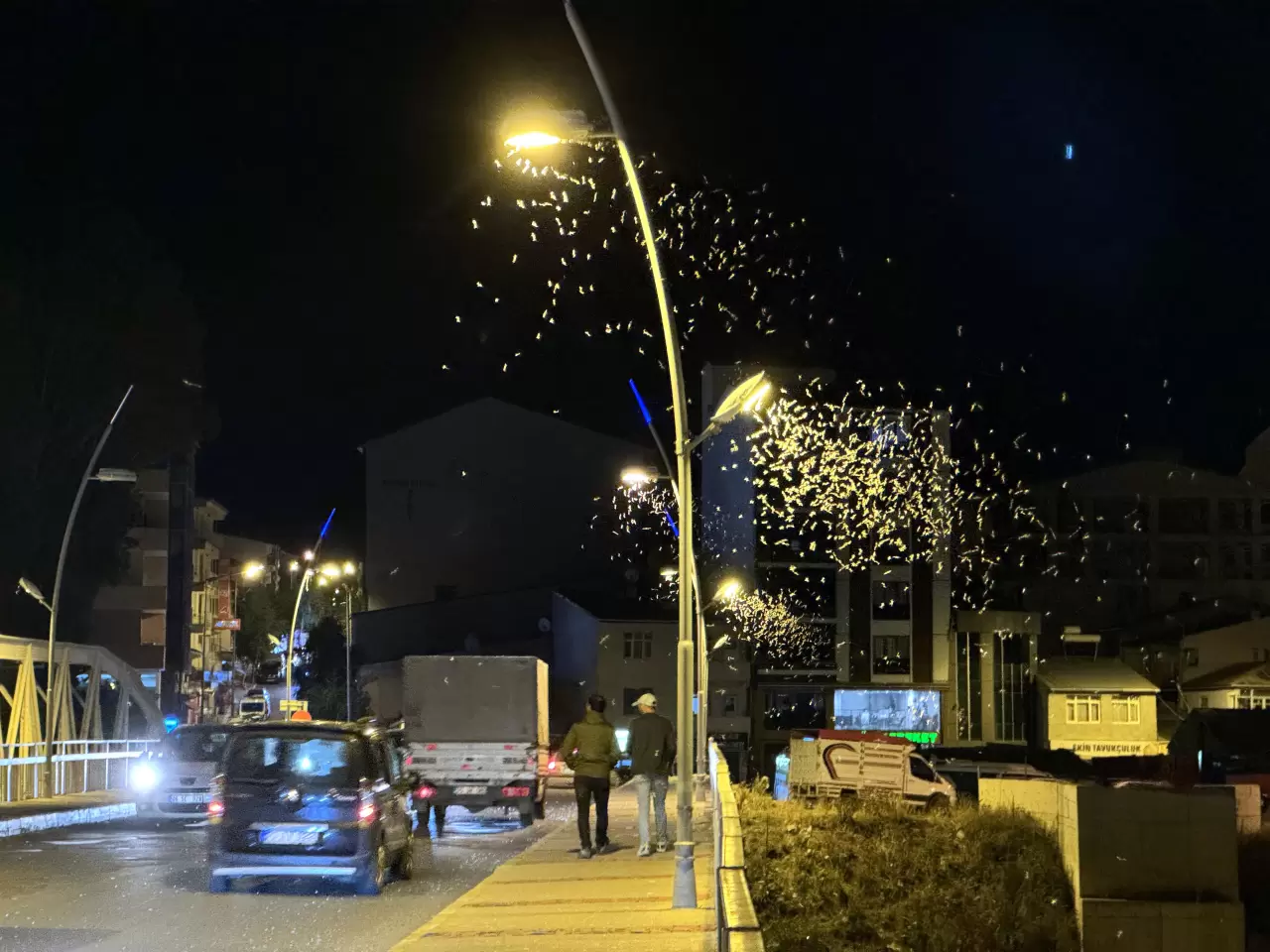 Ardahan'da sineklerin "ölüm dansı" sona erdi 4