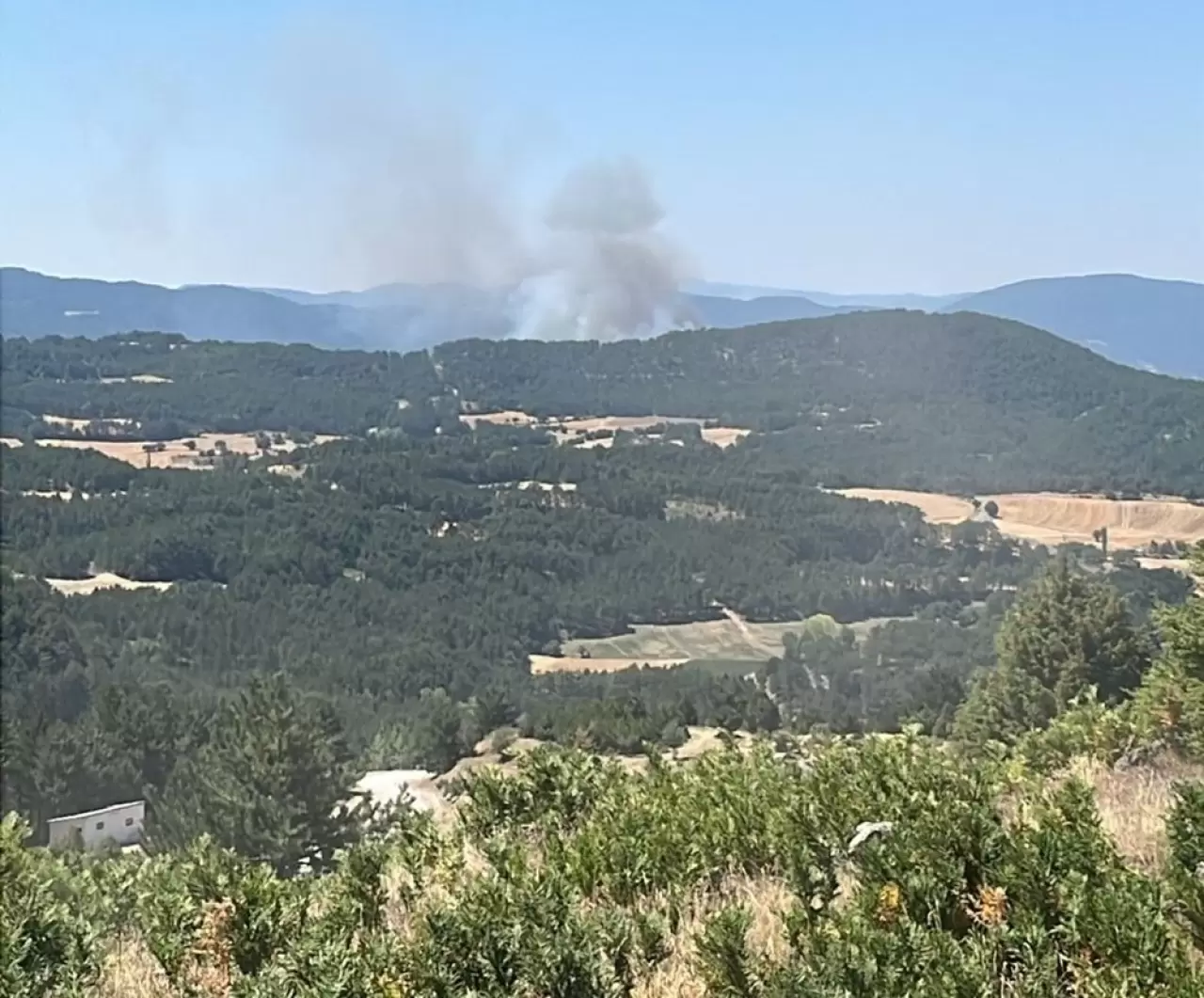 Orman yangınlarında son durum: Çanakkale'deki yangın büyük oranda kontrol altında 12
