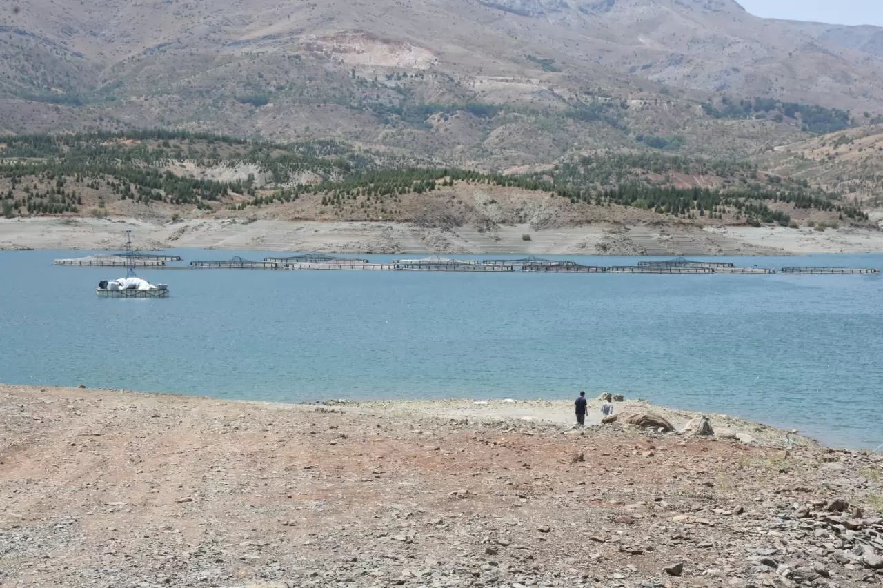 Alabalık tesisi sayısı gün geçtikçe artıyor 4