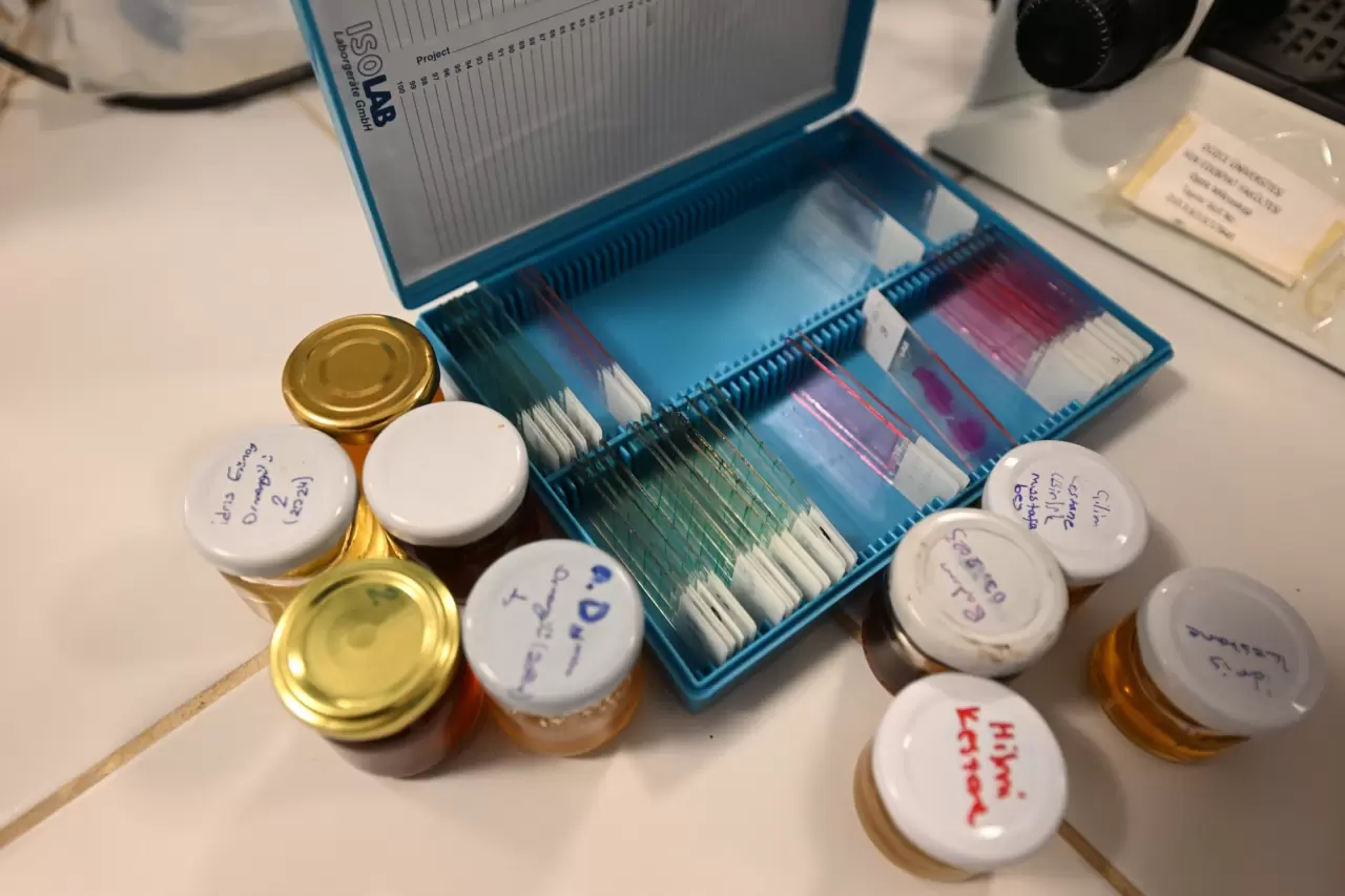 İklim değişikliği kestane balını da etkiledi 3