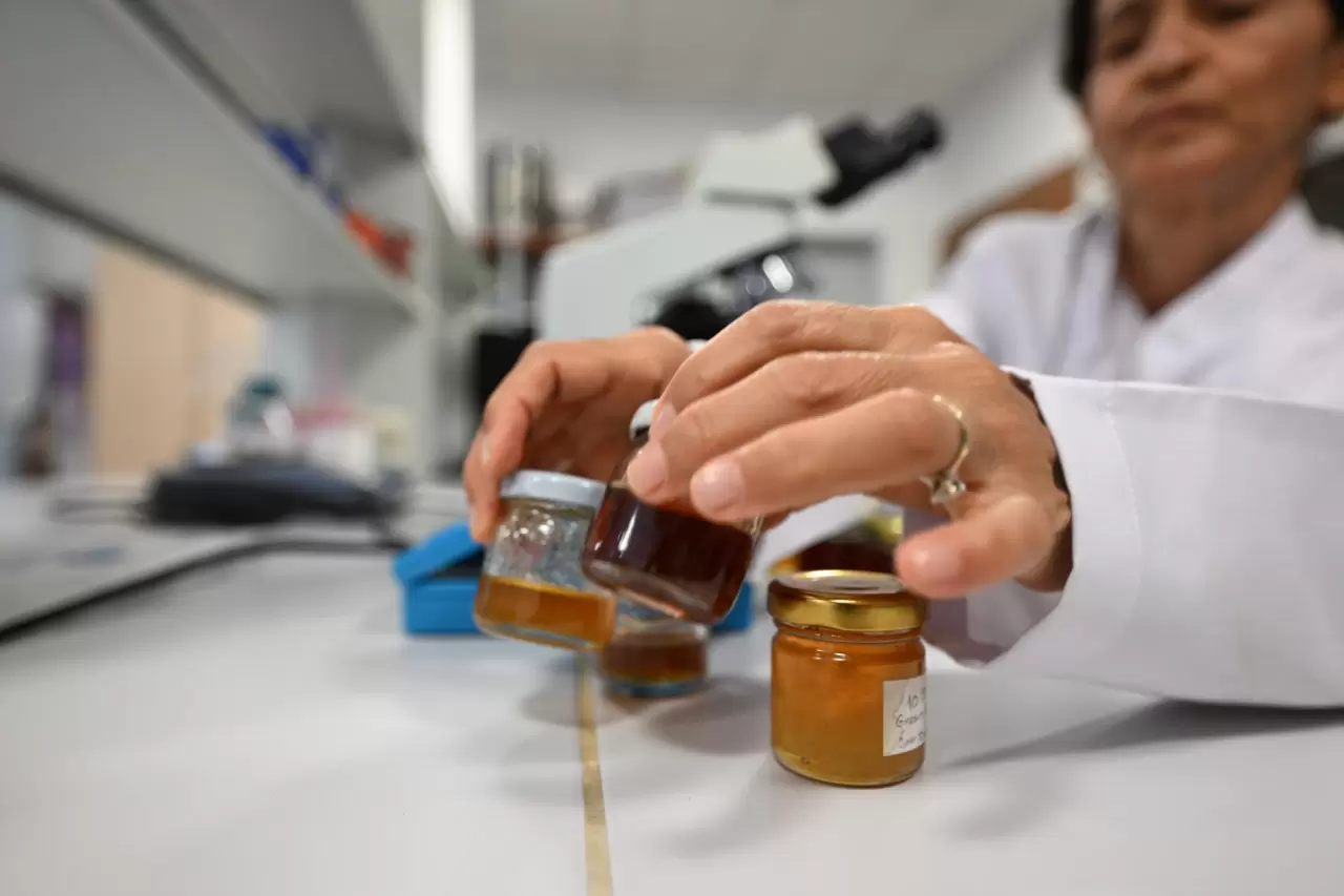 İklim değişikliği kestane balını da etkiledi 4