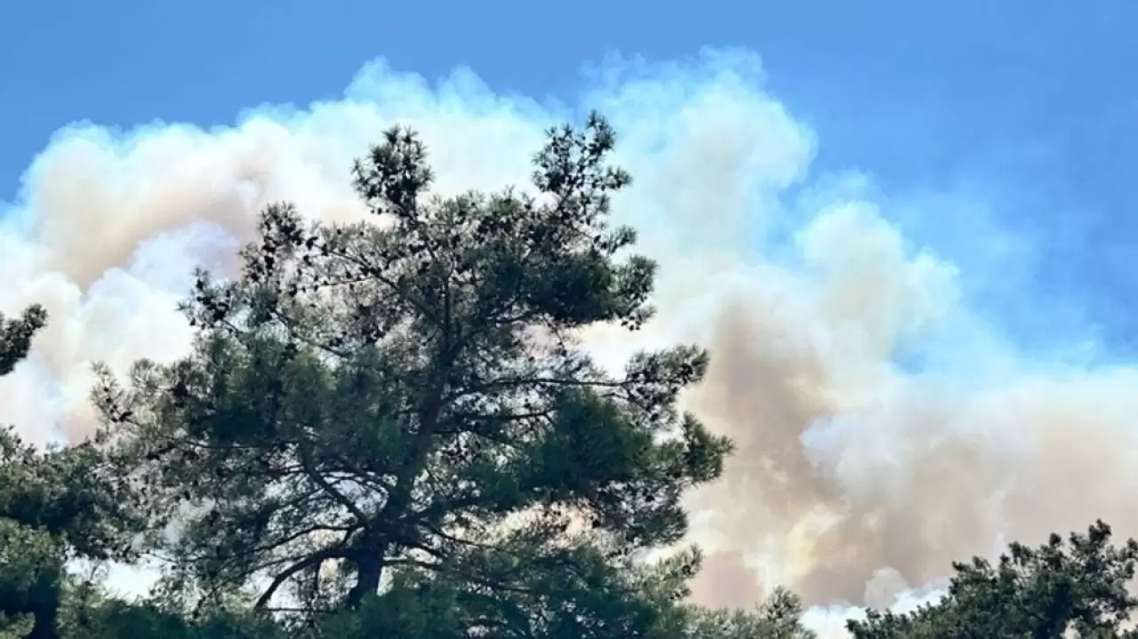 Orman yangınlarında son durum: Çanakkale'deki yangın büyük oranda kontrol altında 8