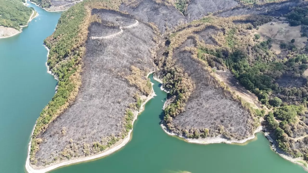 Kocaeli'de yangın sonrası yürek burkan manzara 4