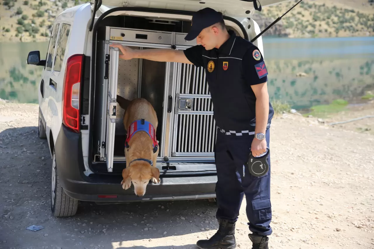 Jandarmanın en önemli yardımcısı "Pusat" 1