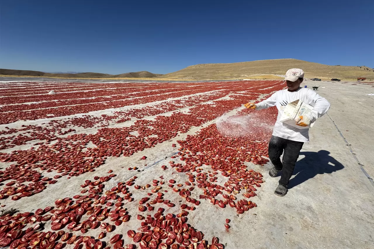 Ziyarete gelmişlerdi, atıl arazileri tarıma kazandırdılar 1