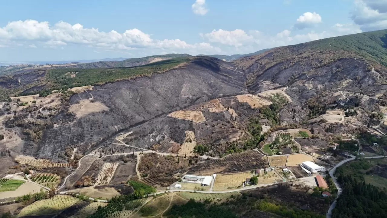 Kocaeli'de yangın sonrası yürek burkan manzara 1
