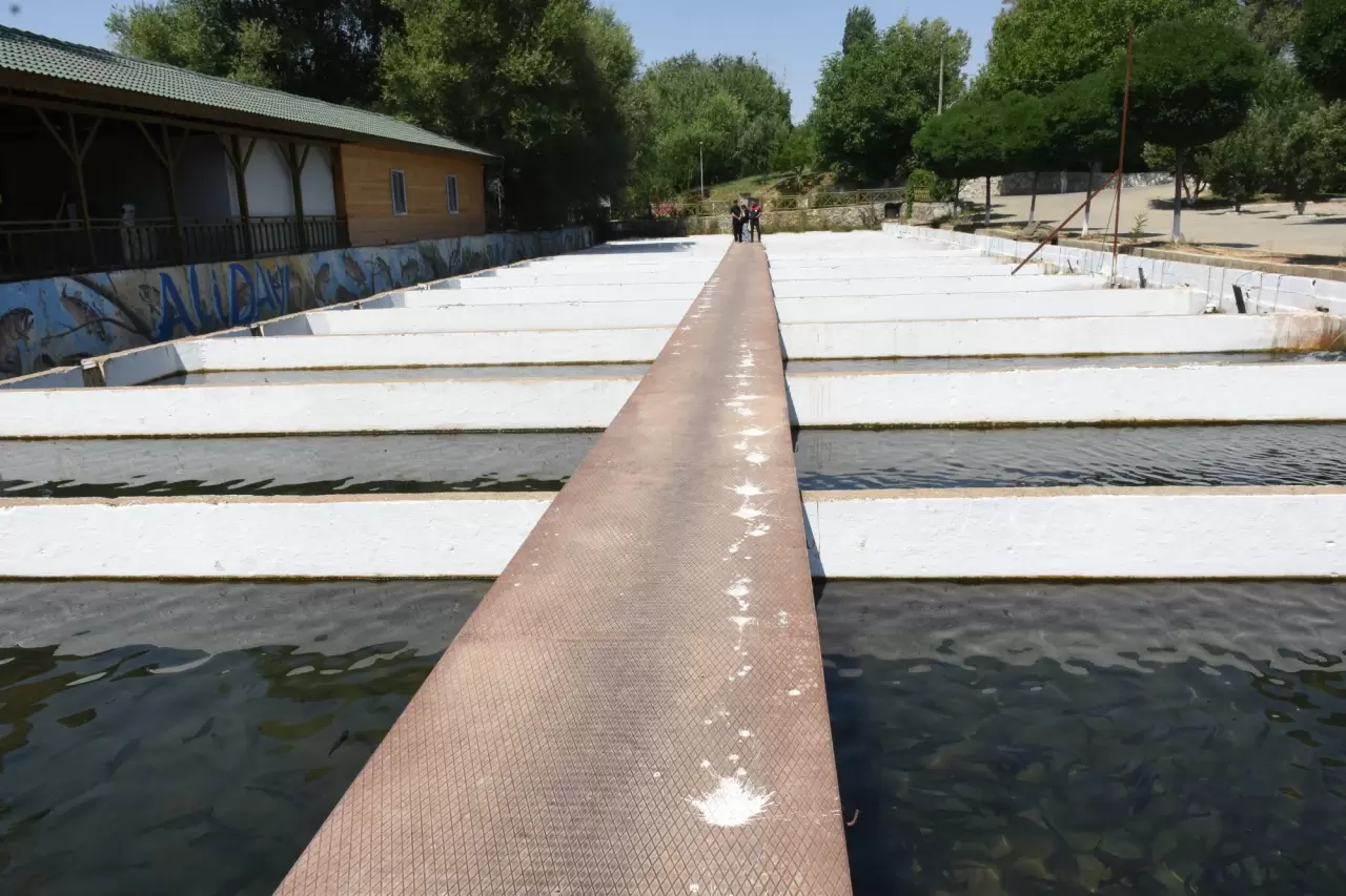 Alabalık tesisi sayısı gün geçtikçe artıyor 2