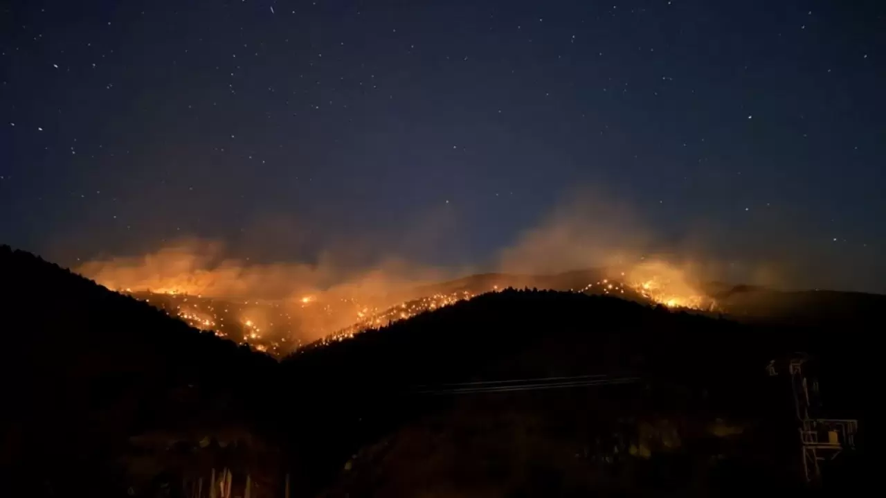 Orman yangınlarında son durum: Çanakkale'deki yangın büyük oranda kontrol altında 11