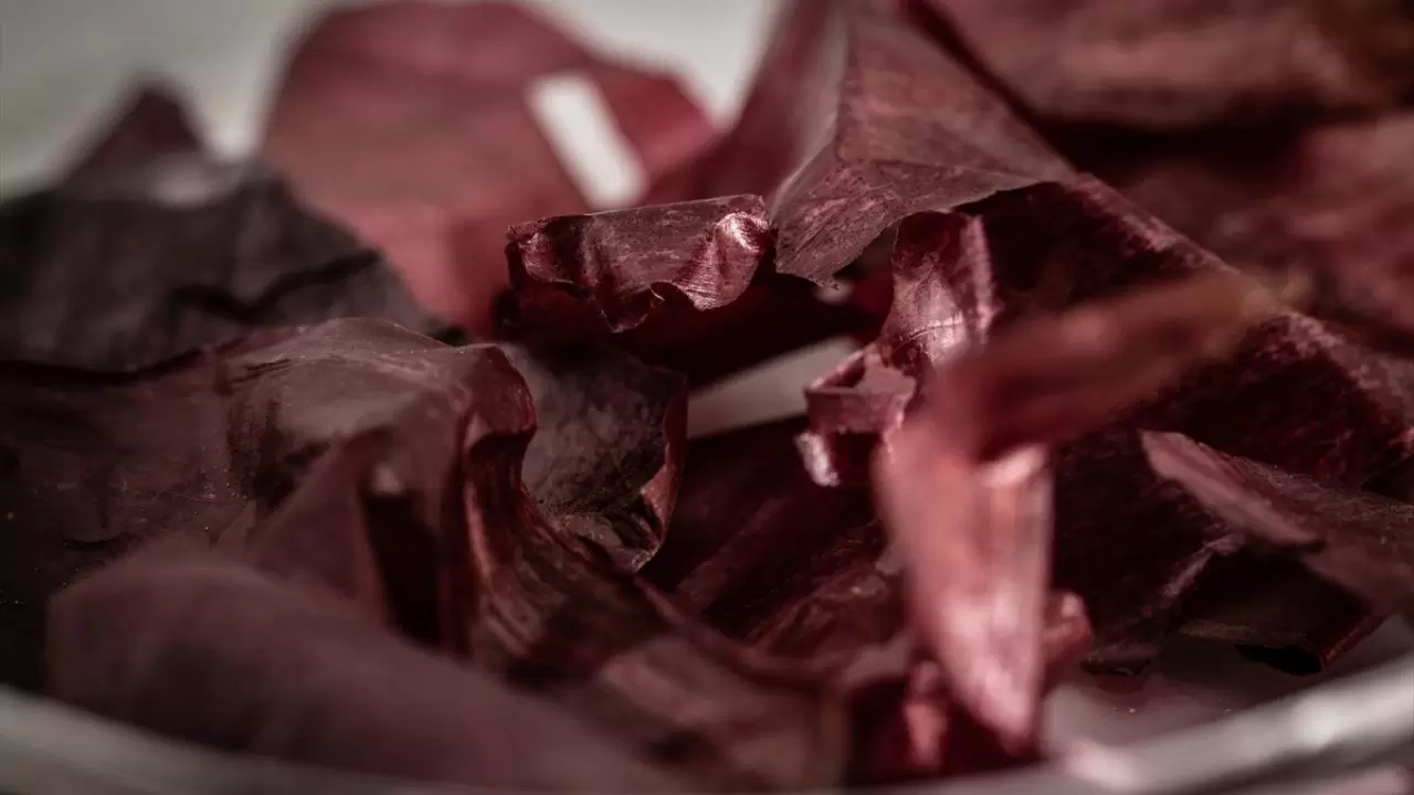 Türk gençleri bilim için Kuzey Kutbu’nda! 12