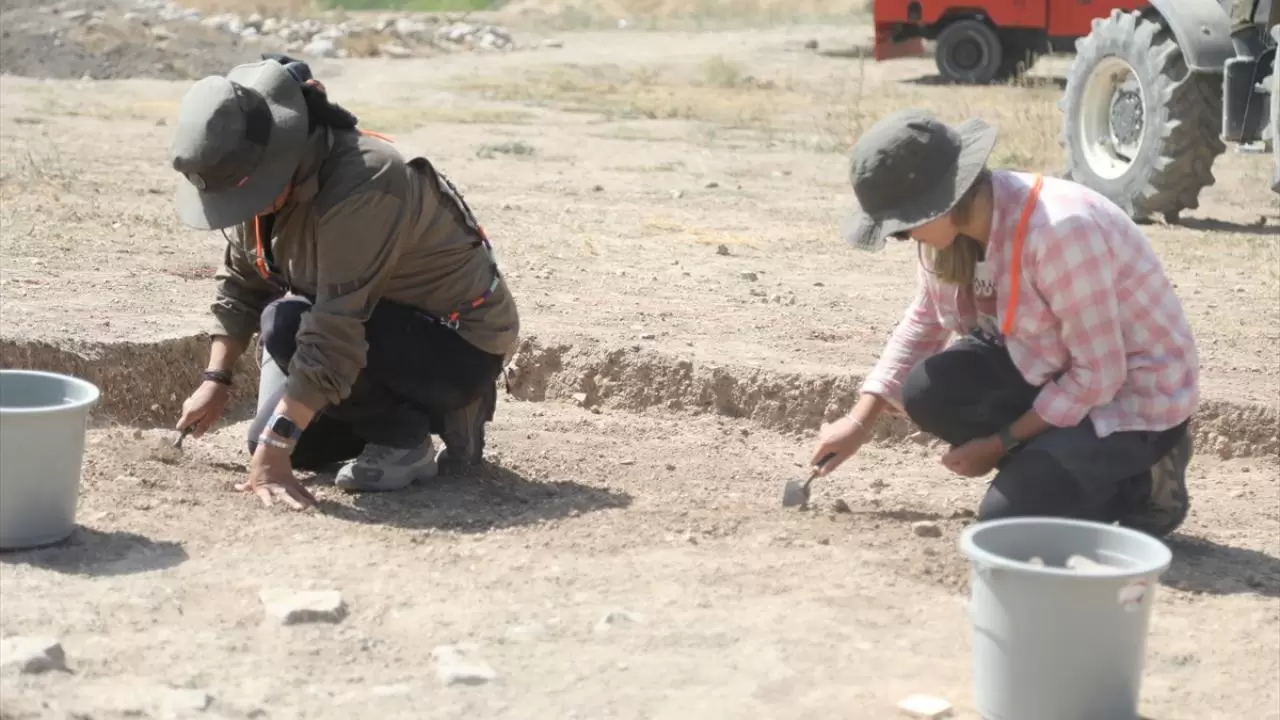 Nerik'te 3 bin 500 yıllık fındık fosili bulundu 3