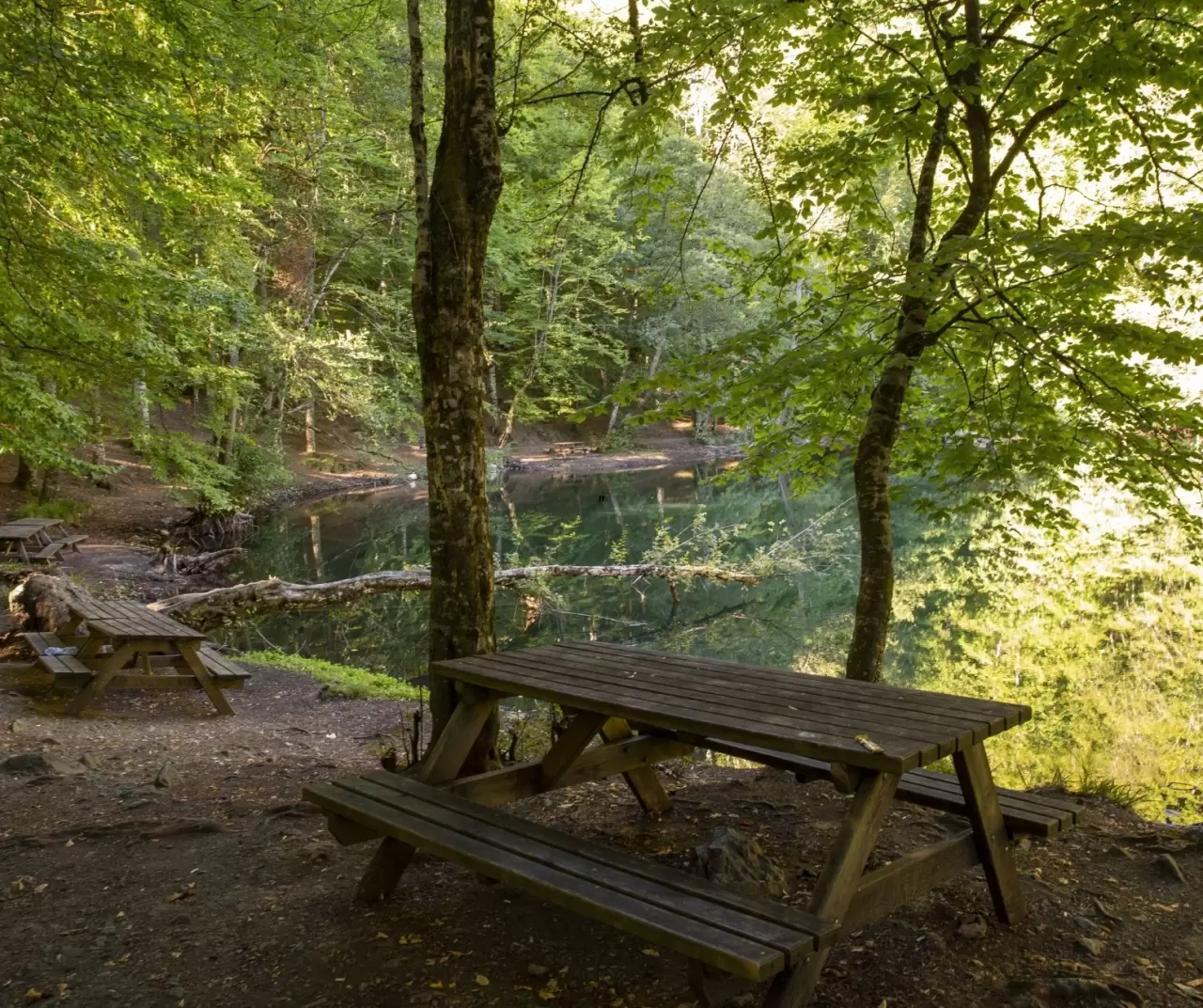 Bolu Yedigöller Milli Parkı sonbaharda ziyaretçilerini bekliyor 9