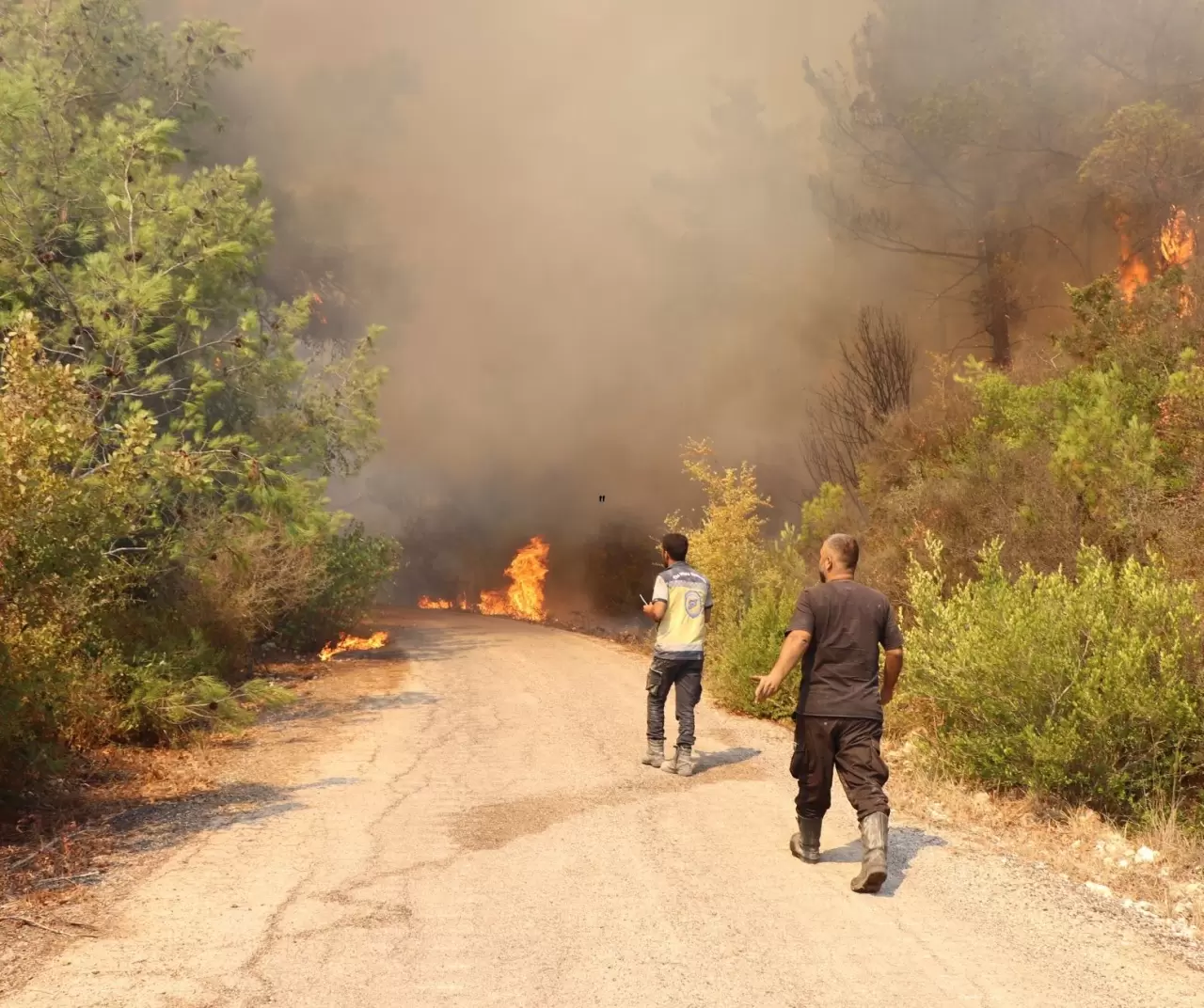 Suriye’nin Bayır - Bucak bölgesinde orman yangını: 3 itfaiyeci yaralandı 2
