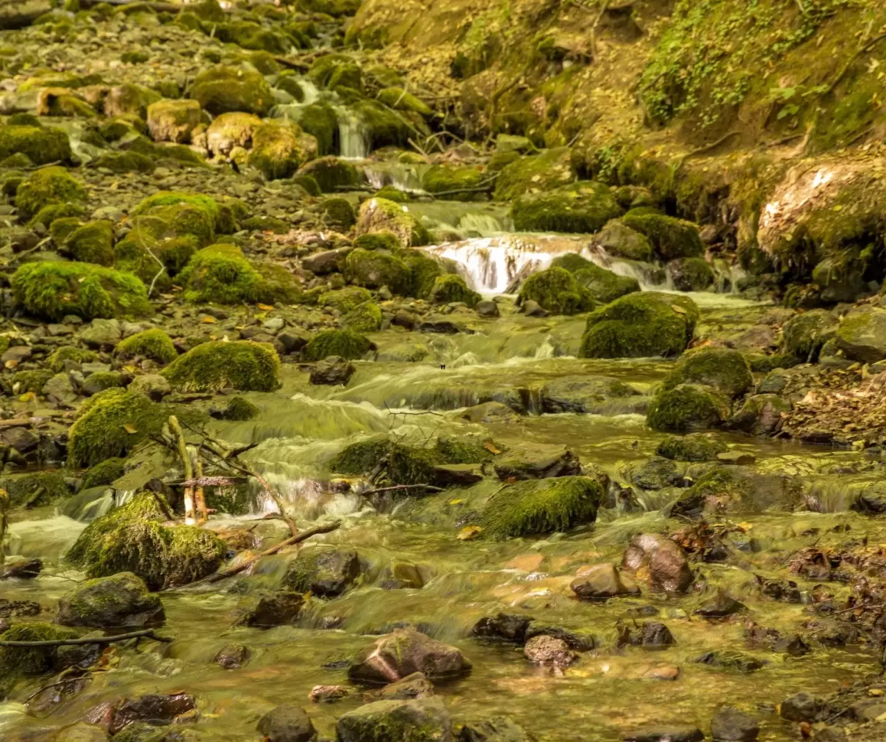 Bolu Yedigöller Milli Parkı sonbaharda ziyaretçilerini bekliyor 5