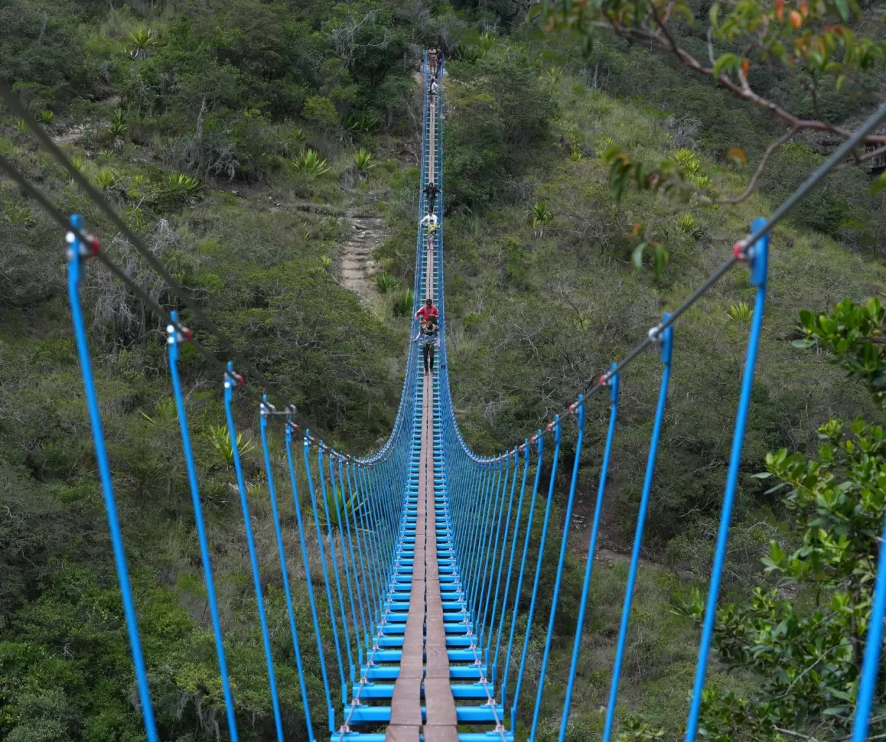 Kolombiya’da Muisca mirasını yansıtan asma köprüler ziyaretçileri büyülüyor 1