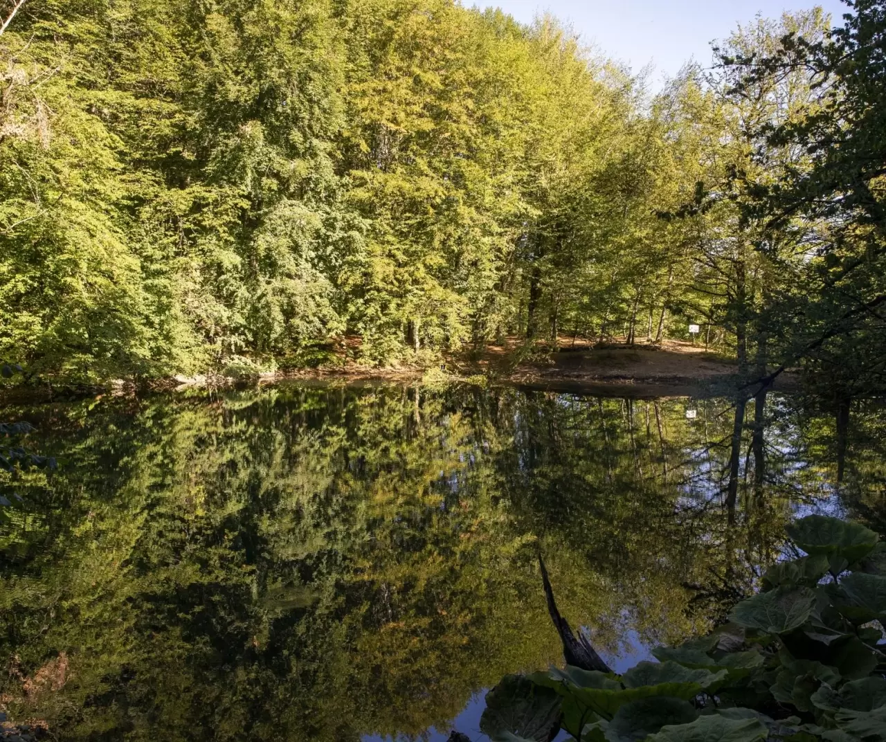 Bolu Yedigöller Milli Parkı sonbaharda ziyaretçilerini bekliyor 7
