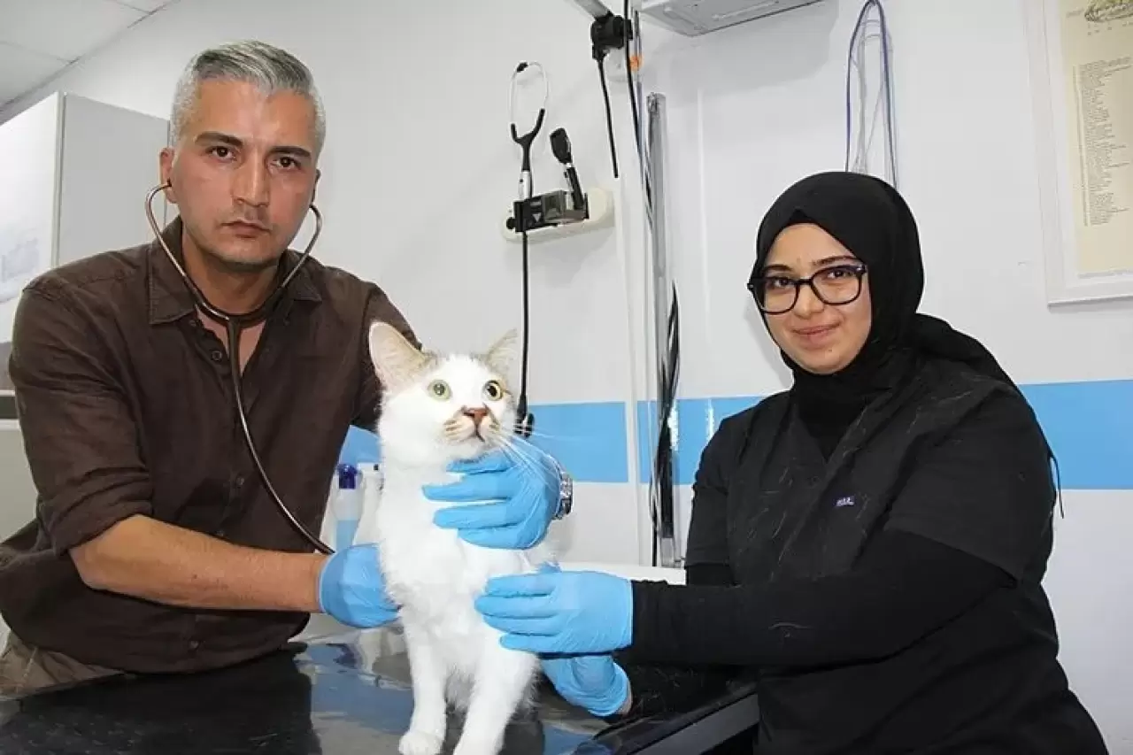 Şehir değiştirince depresyona girmişti! Tedavi yöntemi herkesi şaşırttı 7