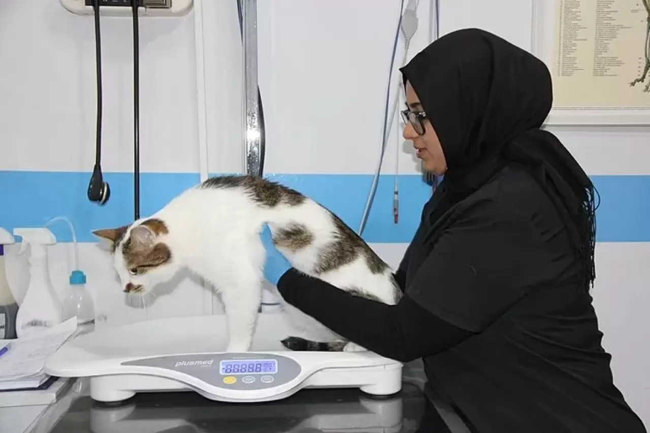 Şehir değiştirince depresyona girmişti! Tedavi yöntemi herkesi şaşırttı 5