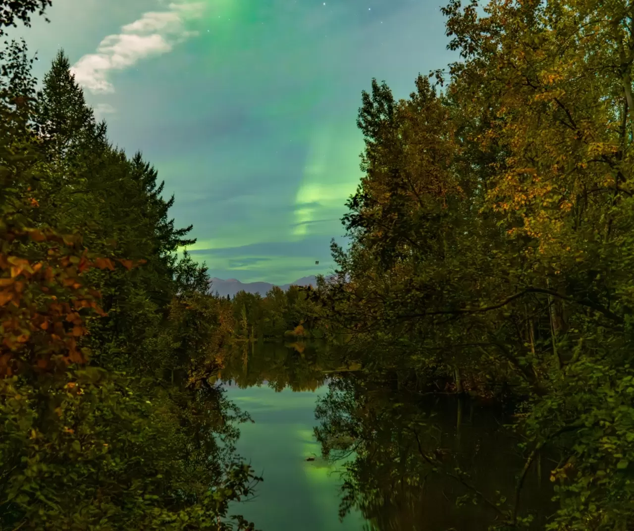 Alaska semalarında büyüleyici kuzey ışıkları gösterisi 3