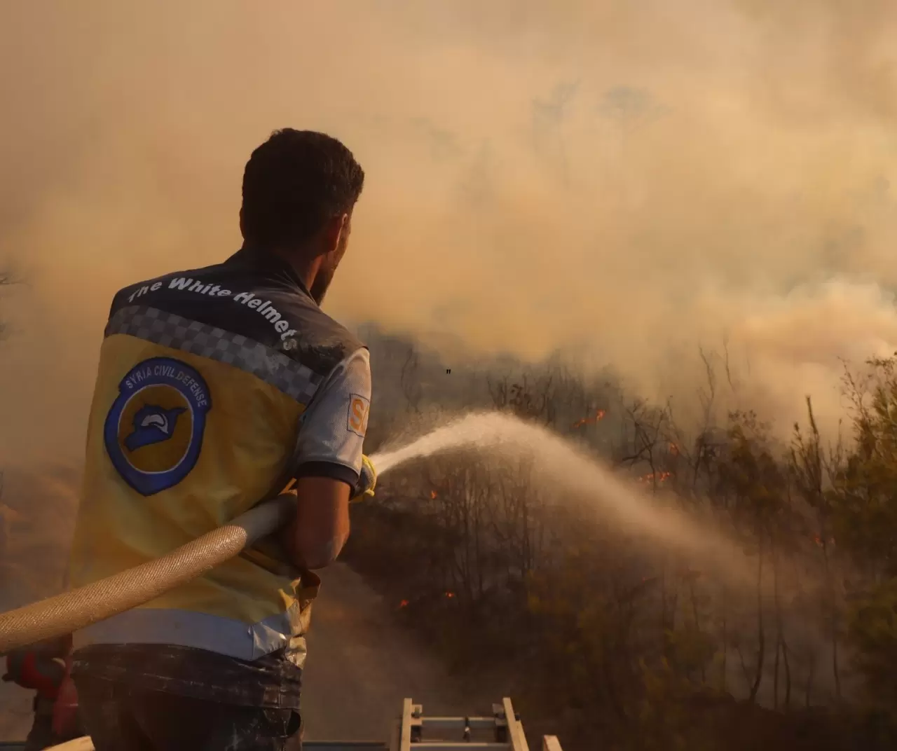 Suriye’nin Bayır - Bucak bölgesinde orman yangını: 3 itfaiyeci yaralandı 3