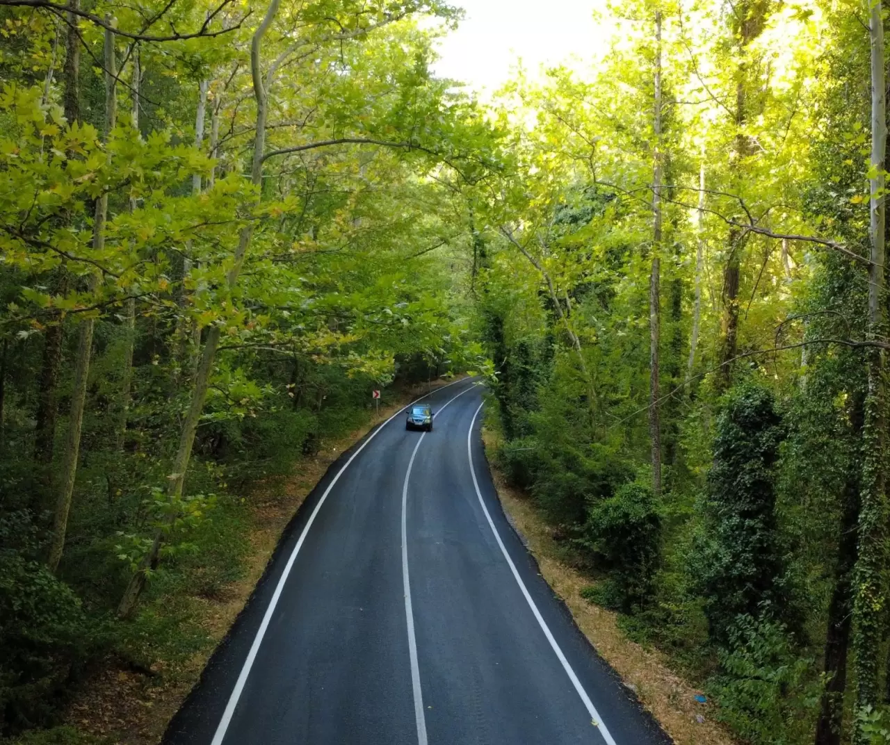 Safranbolu’nun ağaç tüneli: Yeşilin içinde büyüleyici yolculuk keyfi 3