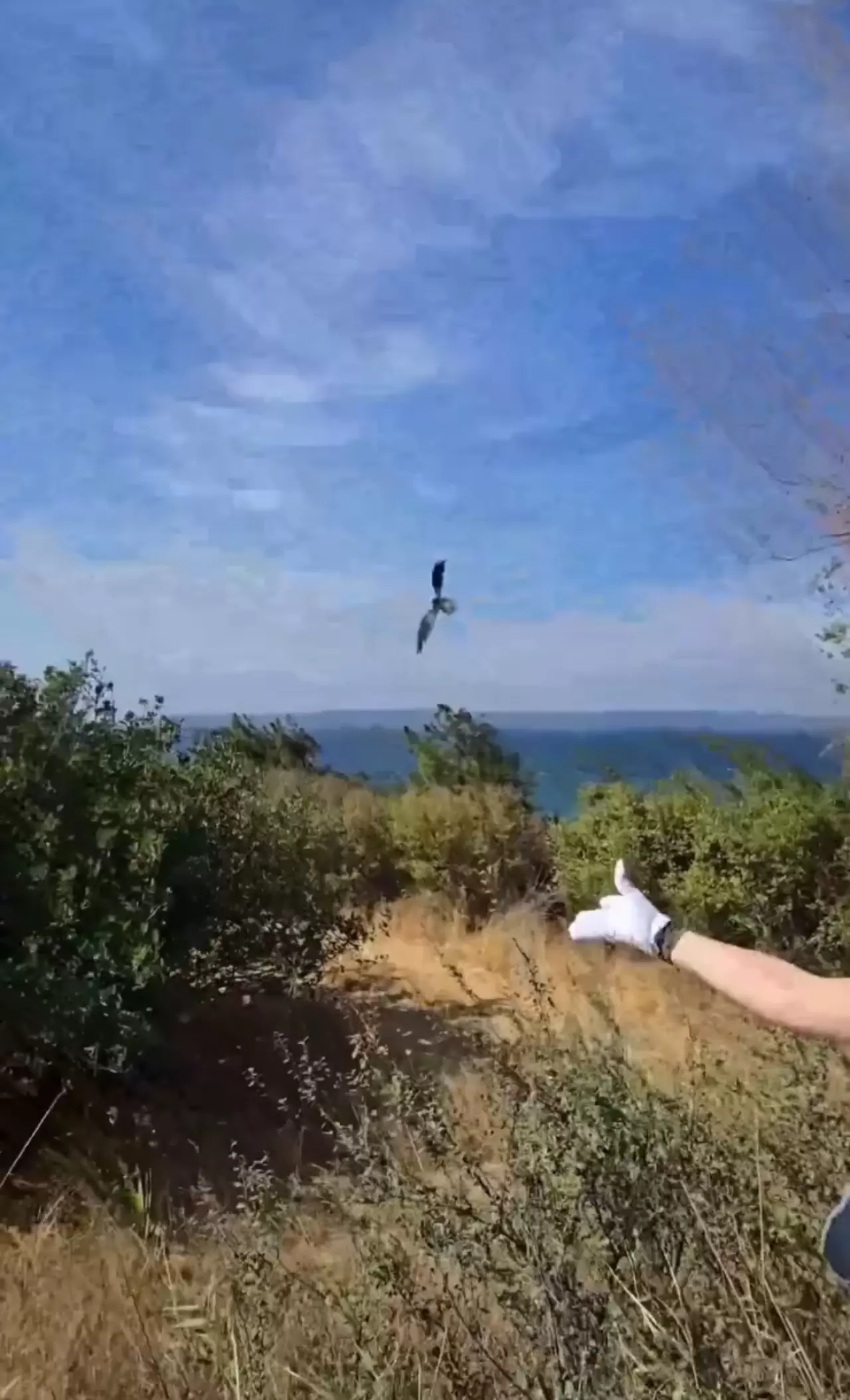 Yaralı kuşlar Doğa Koruma ve Milli Parklar ekipleri sayesinde hayata tutundu 4