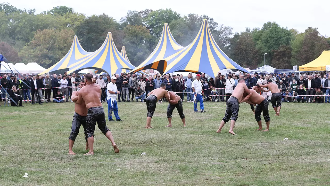 Almanya’da yağlı güreş şenliği 3