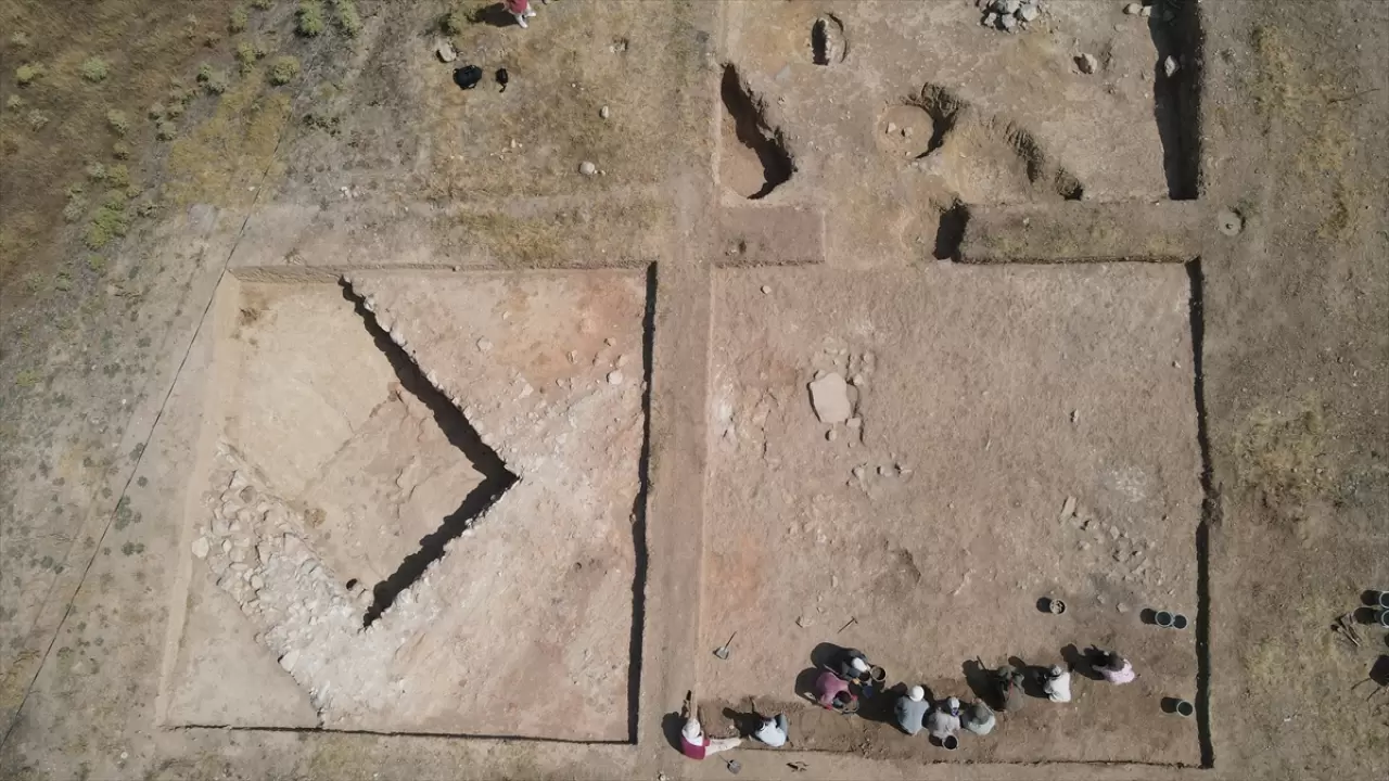 Nerik'te 3 bin 500 yıllık fındık fosili bulundu 1