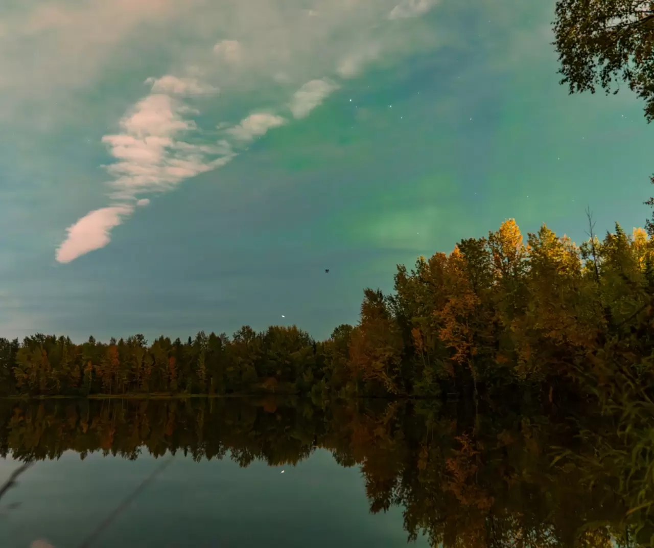 Alaska semalarında büyüleyici kuzey ışıkları gösterisi 2