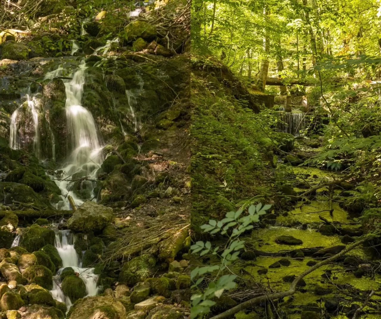 Bolu Yedigöller Milli Parkı sonbaharda ziyaretçilerini bekliyor 1