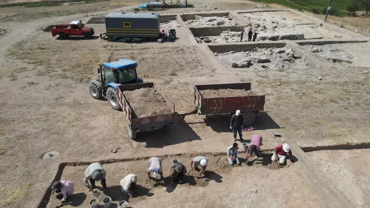 Nerik'te 3 bin 500 yıllık fındık fosili bulundu 2